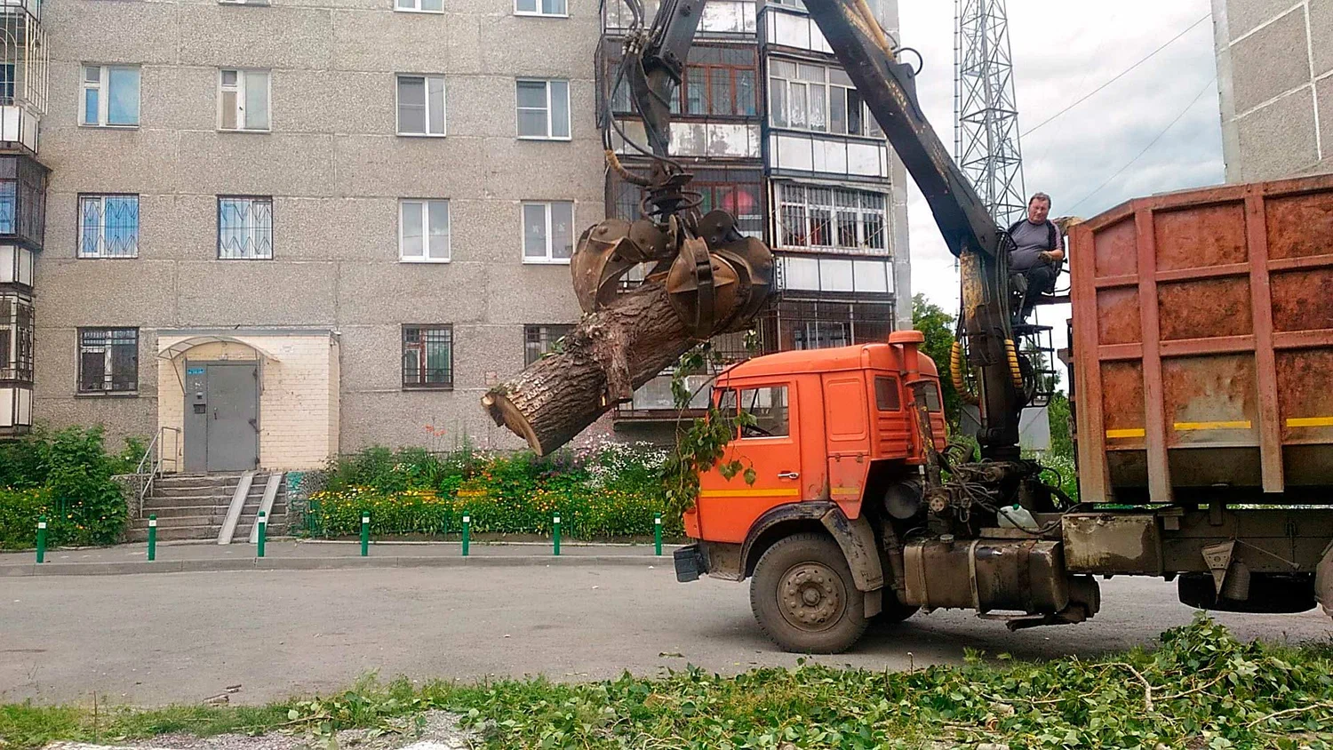 Вывоз спиленных веток и деревьев в Иваново от ПроМусор: порубочные остатки, утилизация, цена от 2996 руб